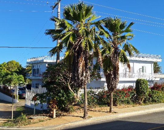 KakaoTalk_20250811_044437569